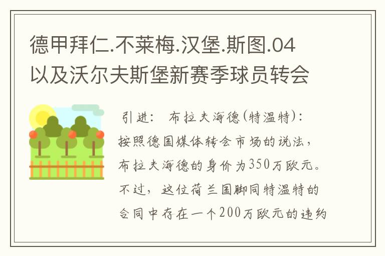 德甲拜仁.不莱梅.汉堡.斯图.04以及沃尔夫斯堡新赛季球员转会一览