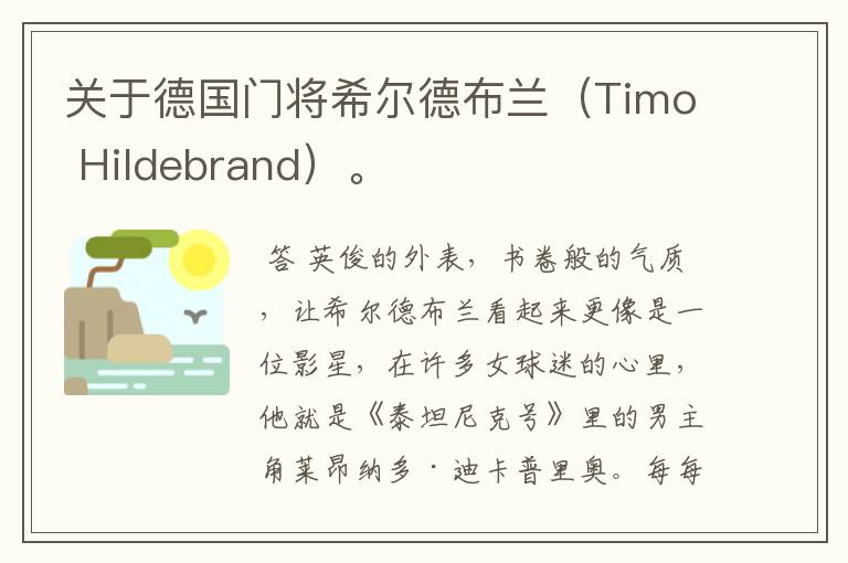 关于德国门将希尔德布兰（Timo Hildebrand）。