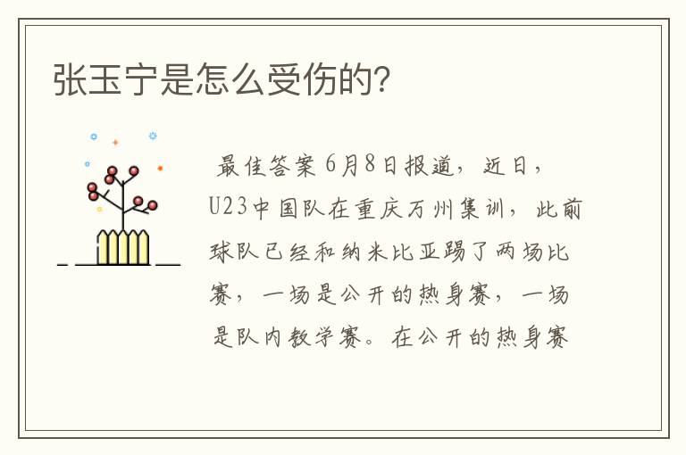 张玉宁是怎么受伤的？