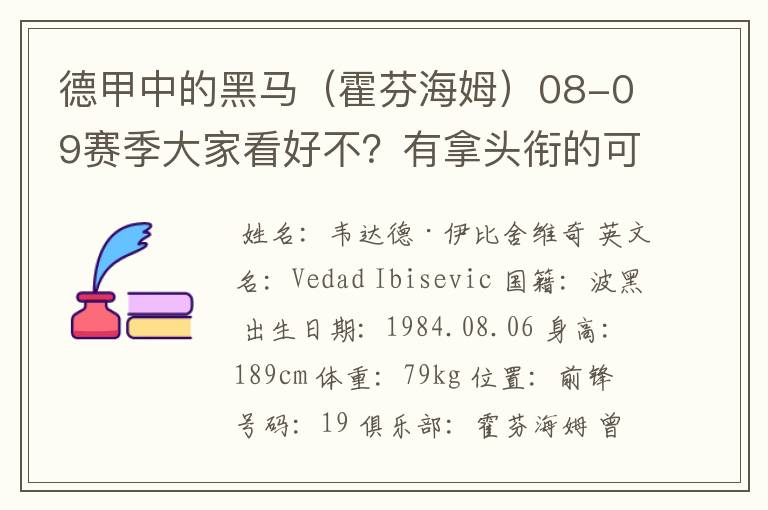 德甲中的黑马（霍芬海姆）08-09赛季大家看好不？有拿头衔的可能吗？