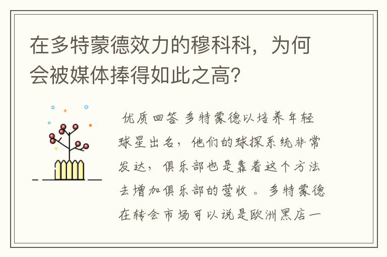 在多特蒙德效力的穆科科，为何会被媒体捧得如此之高？