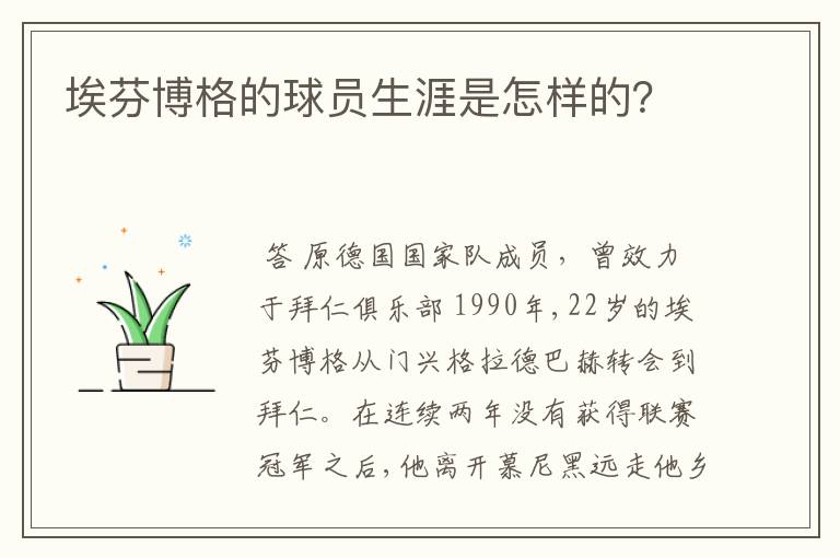 埃芬博格的球员生涯是怎样的？