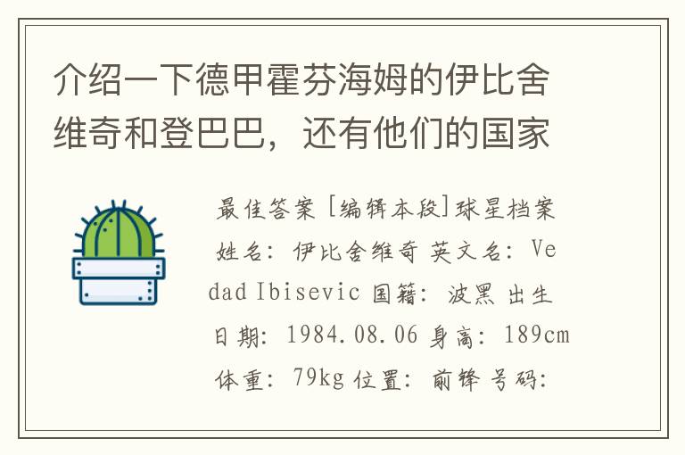 介绍一下德甲霍芬海姆的伊比舍维奇和登巴巴，还有他们的国家队履历