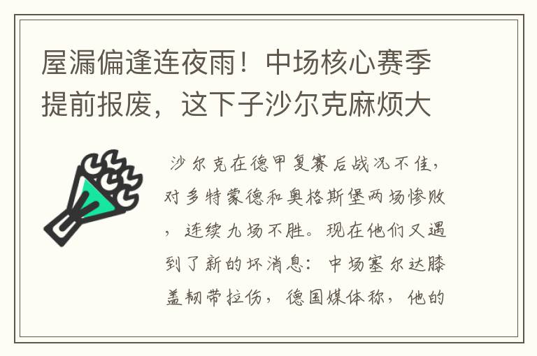 屋漏偏逢连夜雨！中场核心赛季提前报废，这下子沙尔克麻烦大了