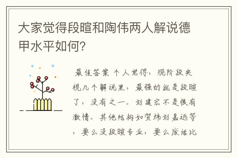 大家觉得段暄和陶伟两人解说德甲水平如何？