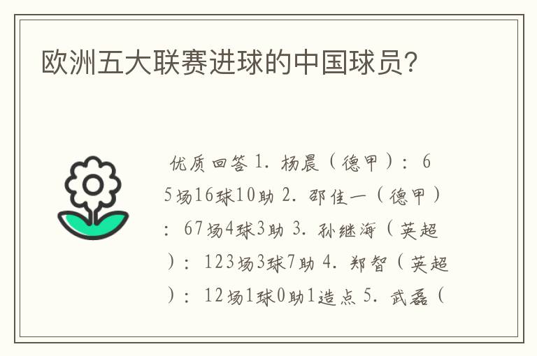 欧洲五大联赛进球的中国球员？