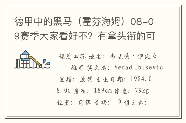 德甲中的黑马（霍芬海姆）08-09赛季大家看好不？有拿头衔的可能吗？