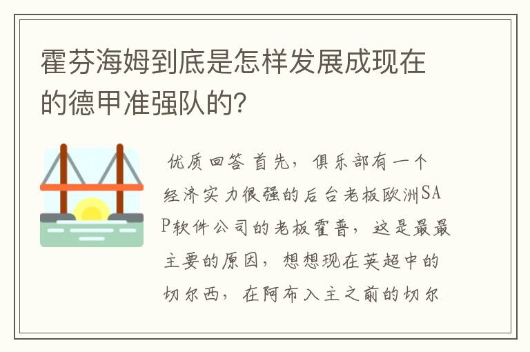 霍芬海姆到底是怎样发展成现在的德甲准强队的？