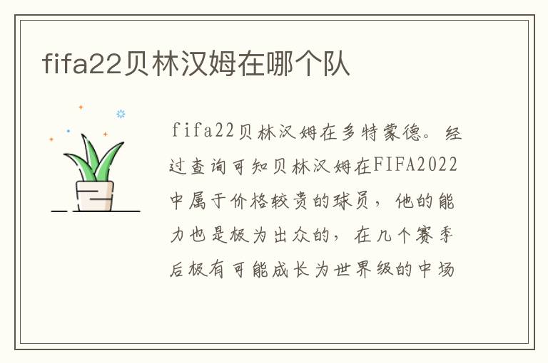 fifa22贝林汉姆在哪个队