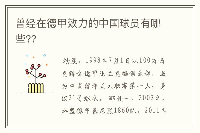 曾经在德甲效力的中国球员有哪些??