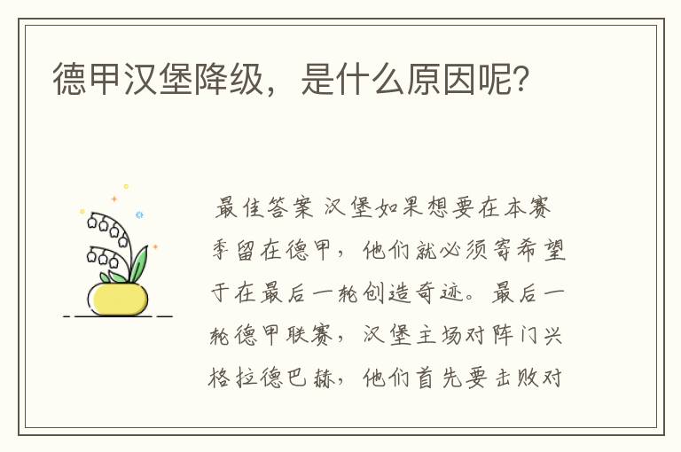 德甲汉堡降级，是什么原因呢？