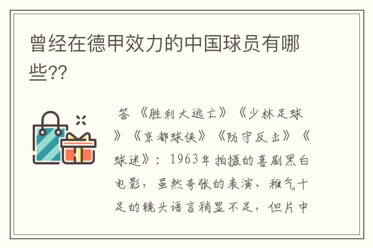 曾经在德甲效力的中国球员有哪些?？