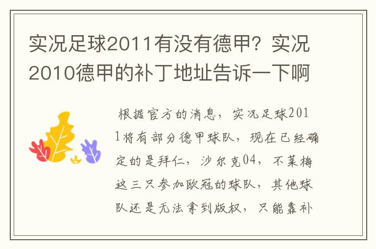 实况足球2011有没有德甲？实况2010德甲的补丁地址告诉一下啊