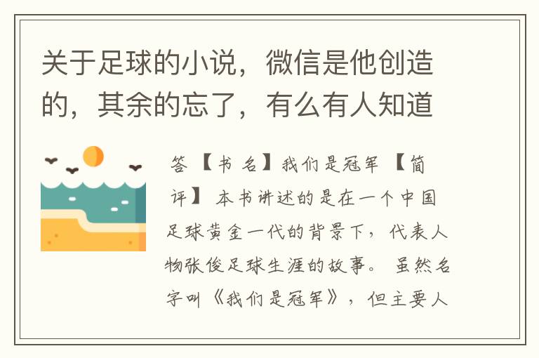 关于足球的小说，微信是他创造的，其余的忘了，有么有人知道叫啥