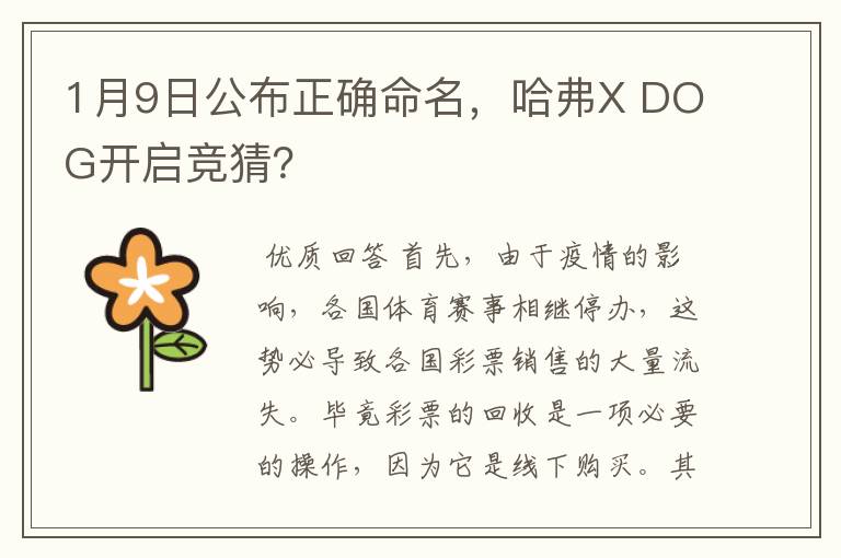 1月9日公布正确命名，哈弗X DOG开启竞猜？