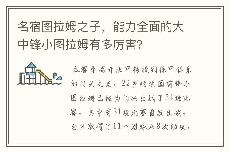 名宿图拉姆之子，能力全面的大中锋小图拉姆有多厉害？