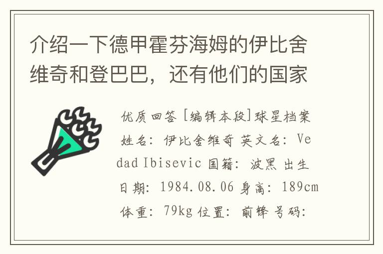 介绍一下德甲霍芬海姆的伊比舍维奇和登巴巴，还有他们的国家队履历