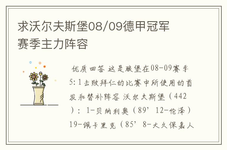 求沃尔夫斯堡08/09德甲冠军赛季主力阵容