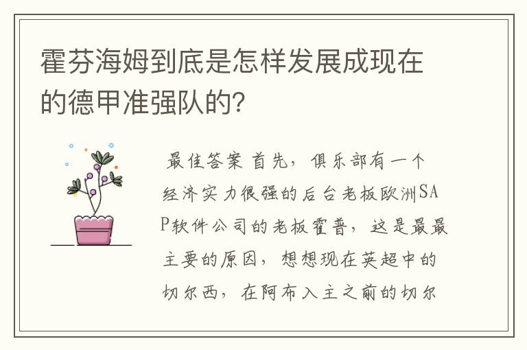 霍芬海姆到底是怎样发展成现在的德甲准强队的？