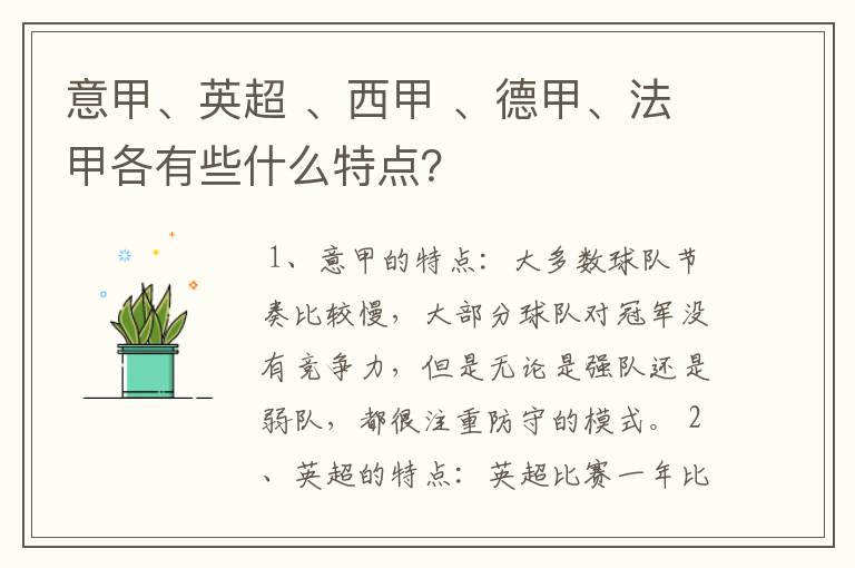 意甲、英超 、西甲 、德甲、法甲各有些什么特点？