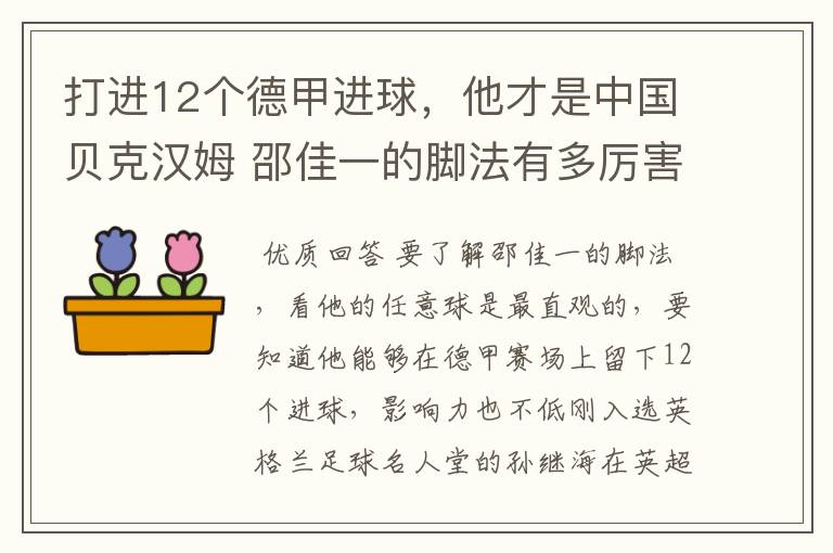 打进12个德甲进球，他才是中国贝克汉姆 邵佳一的脚法有多厉害