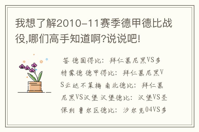 我想了解2010-11赛季德甲德比战役,哪们高手知道啊?说说吧!