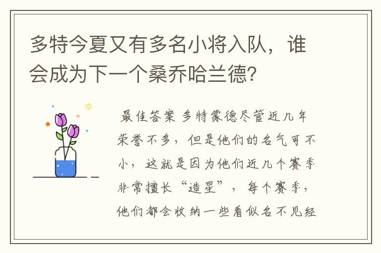 多特今夏又有多名小将入队，谁会成为下一个桑乔哈兰德？