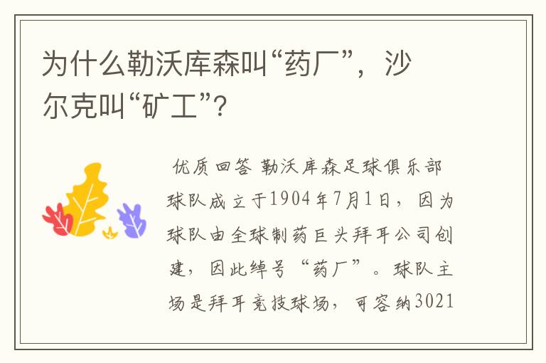 为什么勒沃库森叫“药厂”，沙尔克叫“矿工”？