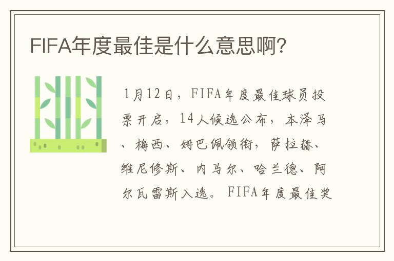 FIFA年度最佳是什么意思啊？