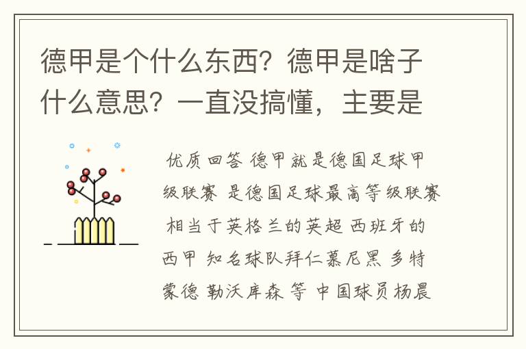 德甲是个什么东西？德甲是啥子什么意思？一直没搞懂，主要是我平时基本不看德甲呀，足球什么的。?推荐一下