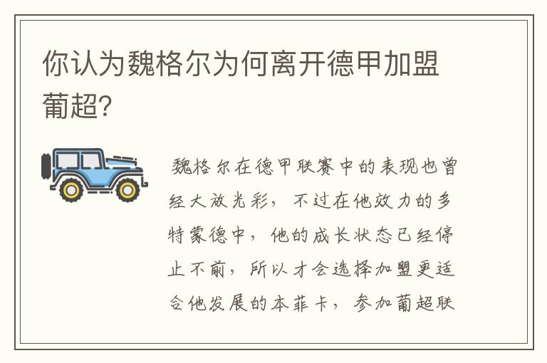 你认为魏格尔为何离开德甲加盟葡超？