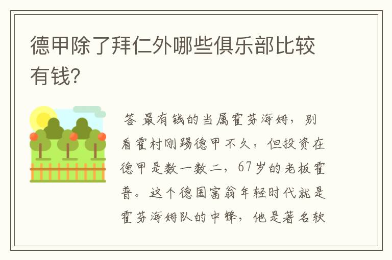 德甲除了拜仁外哪些俱乐部比较有钱？