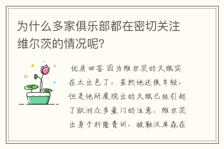 为什么多家俱乐部都在密切关注维尔茨的情况呢？