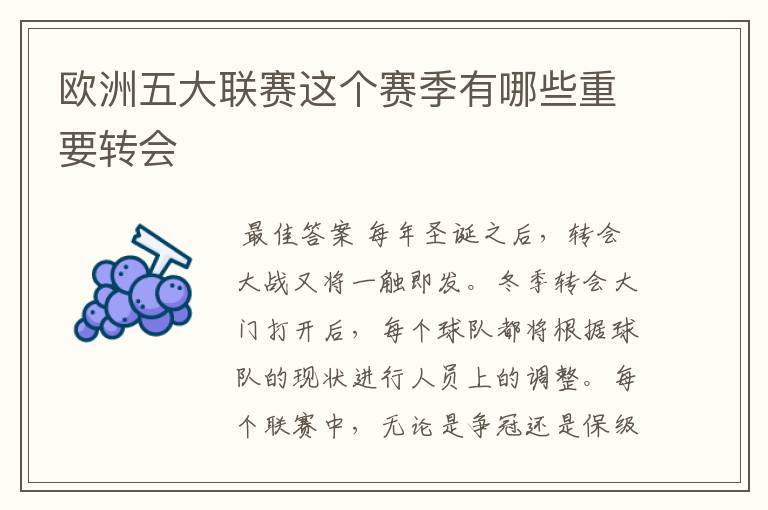 欧洲五大联赛这个赛季有哪些重要转会