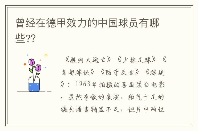 曾经在德甲效力的中国球员有哪些?？