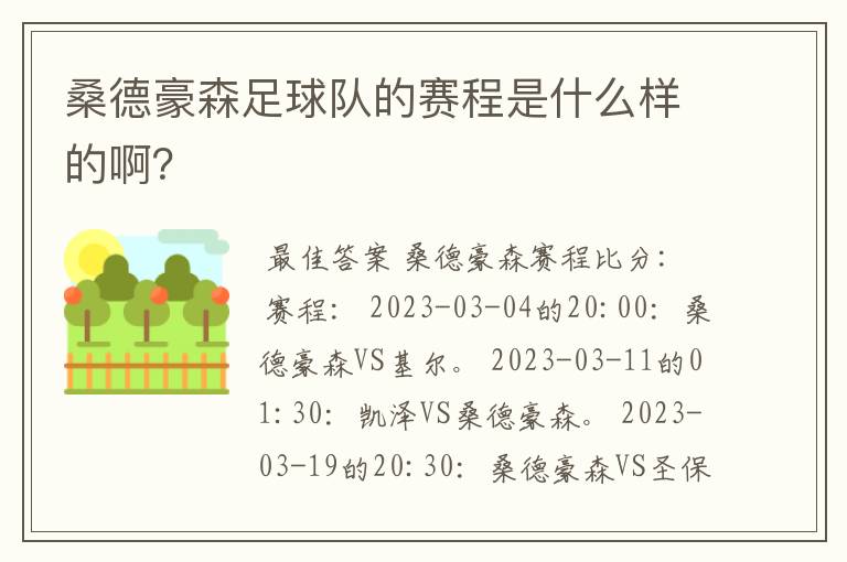 桑德豪森足球队的赛程是什么样的啊？