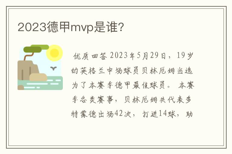 2023德甲mvp是谁?