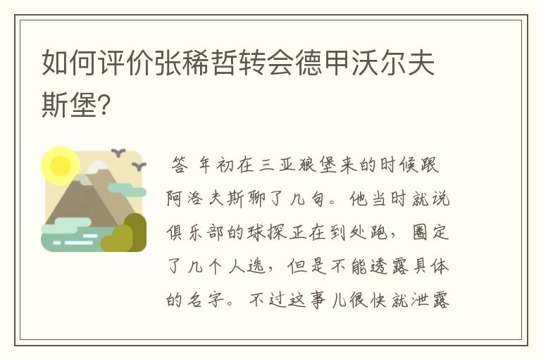 如何评价张稀哲转会德甲沃尔夫斯堡？