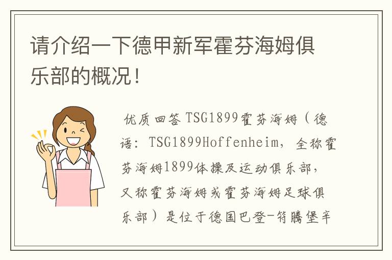 请介绍一下德甲新军霍芬海姆俱乐部的概况！