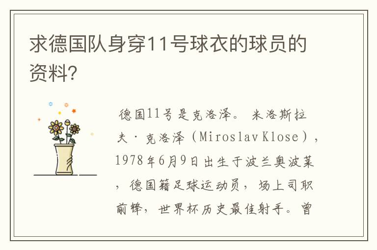 求德国队身穿11号球衣的球员的资料？