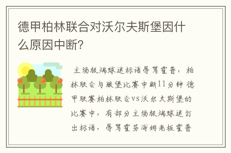 德甲柏林联合对沃尔夫斯堡因什么原因中断？