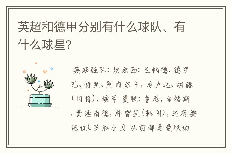 英超和德甲分别有什么球队、有什么球星？