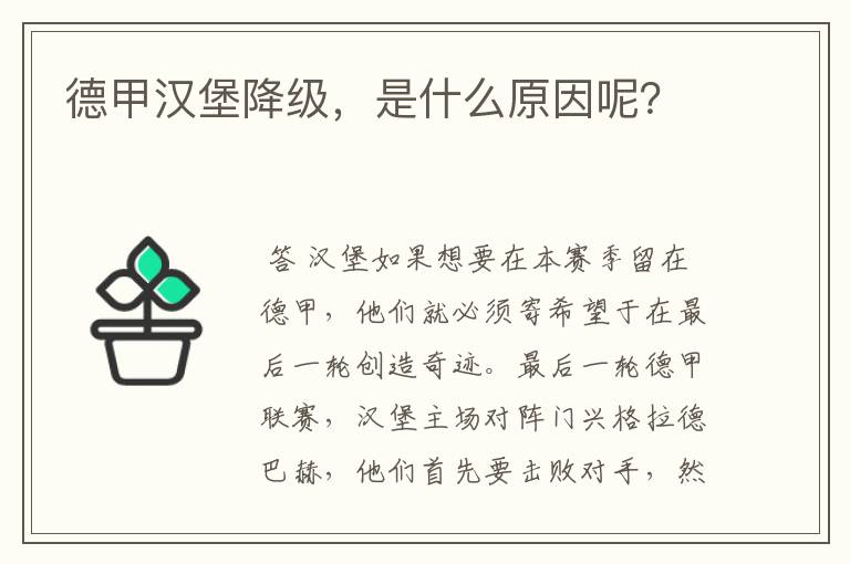 德甲汉堡降级，是什么原因呢？