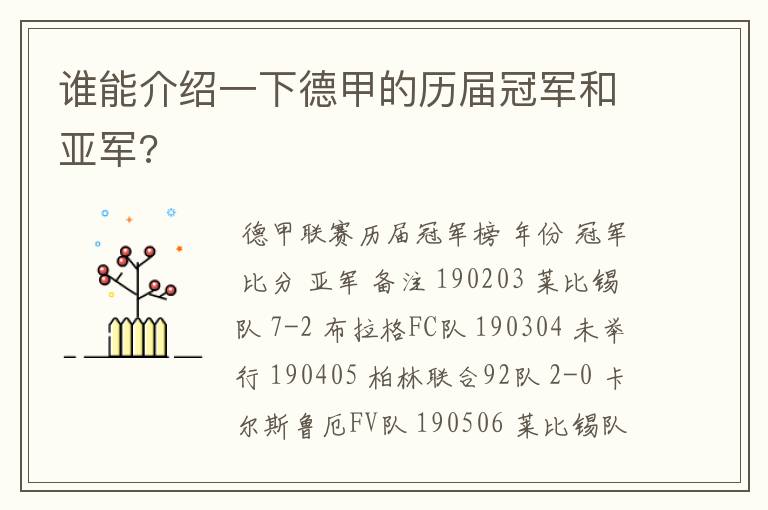 谁能介绍一下德甲的历届冠军和亚军?