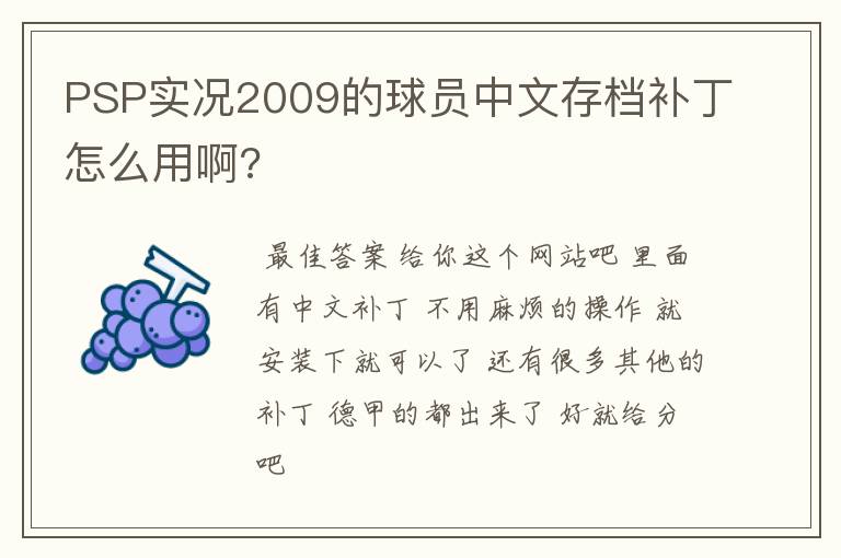 PSP实况2009的球员中文存档补丁怎么用啊?