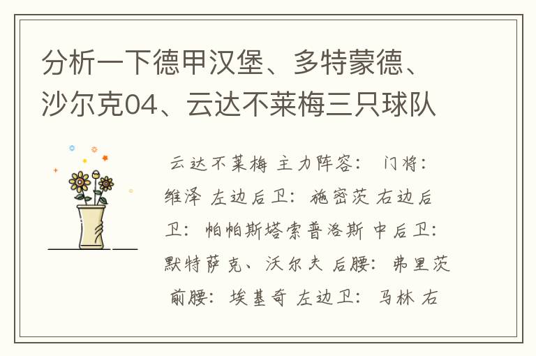 分析一下德甲汉堡、多特蒙德、沙尔克04、云达不莱梅三只球队的人员打法和阵型