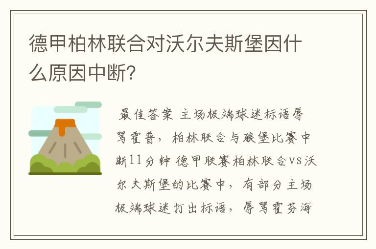 德甲柏林联合对沃尔夫斯堡因什么原因中断？