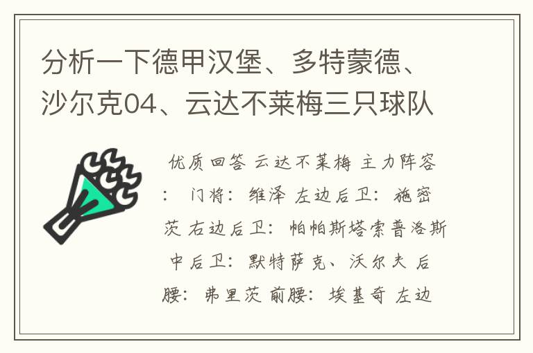 分析一下德甲汉堡、多特蒙德、沙尔克04、云达不莱梅三只球队的人员打法和阵型