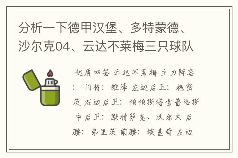 分析一下德甲汉堡、多特蒙德、沙尔克04、云达不莱梅三只球队的人员打法和阵型