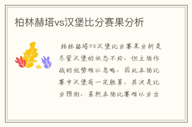 柏林赫塔vs汉堡比分赛果分析